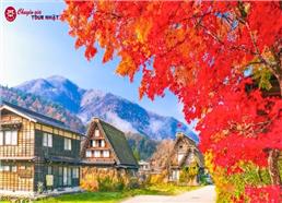 Tour Nhật Bản Mùa Thu 6N5Đ: Làng Cổ Shirakawa-go